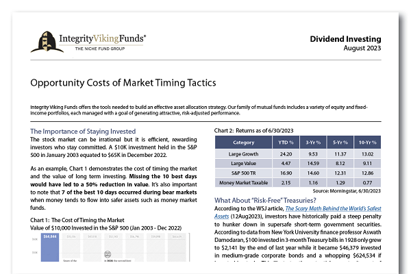 Dividend Investing: Opportunity Costs of Market Timing Tactics